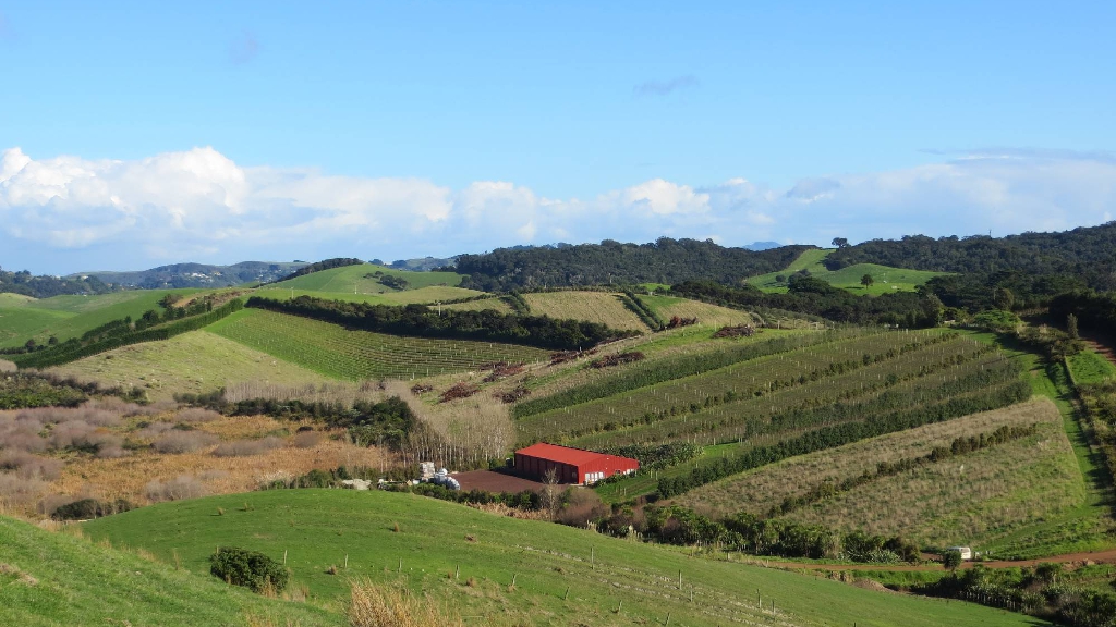 Waiheke Island